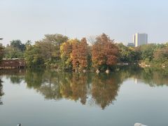 -海珠湖公园