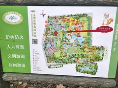 -上海共青森林公园
