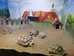 -华夏文旅海洋公园