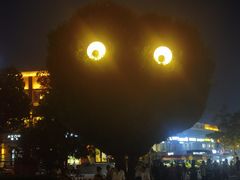 -特克斯八卦城