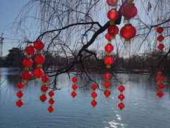 -百脉泉景区