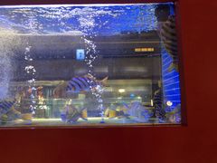 -东富酒家(龙湖西溪天街店)