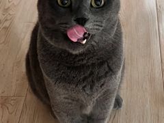 -缘久缘米粉(新街口店)