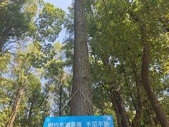 -东湖落雁景区