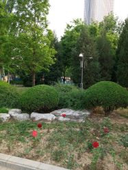 -大望京儿童游乐场