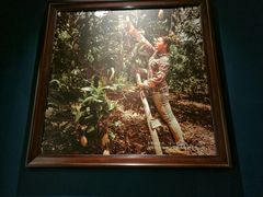 -糖纸甜品(恒一广场店)