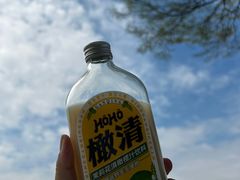 -顺峰山公园