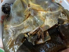 -德清诚信农产品莫干湖甲鱼直销店