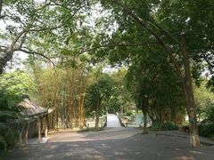 -广西壮族自治区药用植物园