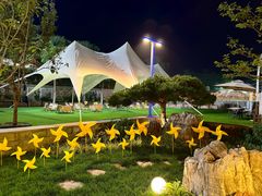 -阳台山自然风景区