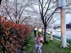 -华中科技大学光谷体育馆