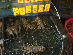 -新梅园不夜粥(龙华店)