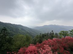 -莫干山风景区