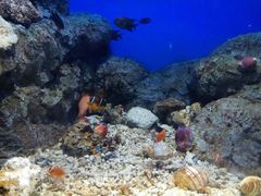 -福州罗源湾海洋世界旅游区