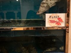-上虞天玥大酒店