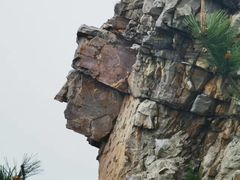-金龙寺国家森林公园
