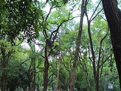 -东湖生态旅游风景区