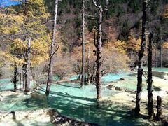 -黄龙山原始森林景区