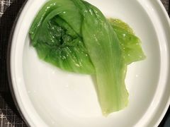 -郑春發佛跳墙(三迪中心店)