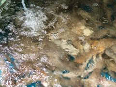 -聚德福海鲜家常菜(刘庄店)