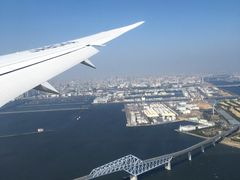 -全日本空输株式会社(上海办事处)