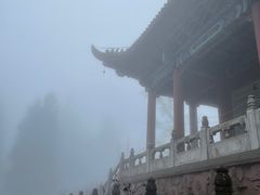 -武陵山森林公园