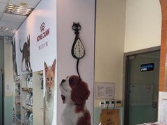 -瑞派申生动物医院·24H夜诊·国际动物医疗中心·骨外科(吴中路店)