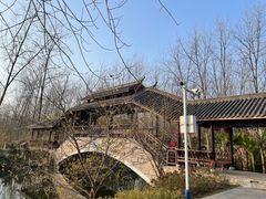 -合肥滨湖国家森林公园