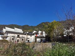 -塔川景区
