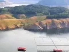 -河口景区