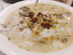 -川味堂·四川豆花(八卦岭店)