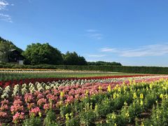 -富田农场