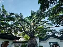 -墨池公园