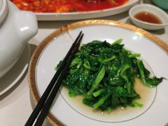 -蝶园·装修中(BFC外滩金融中心店)