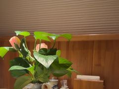 -花和海鲜自助(梅江店)