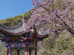 -西安祥峪森林公园