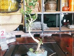 -食德喜·阳山鸡王食研基地