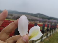 -盈香心动乐园