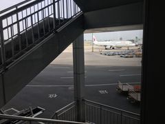 -石家庄正定国际机场-T2航站楼