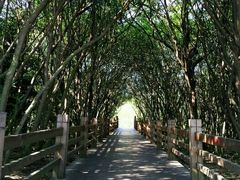 -吴淞炮台湾湿地森林公园烧烤区