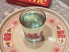 -二胖家铁锅炖大鹅(双井店)