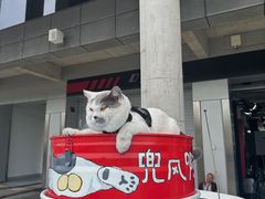 -浙江国际赛车场