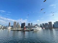 -东港音乐喷泉广场