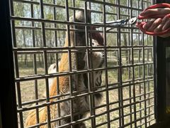 -哈尔滨北方森林动物园