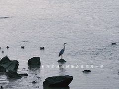 -深圳湾公园(南山区)