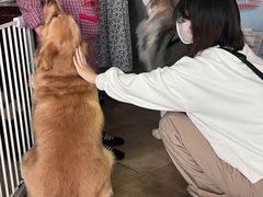 -汪说·狗咖(旺城大厦店)