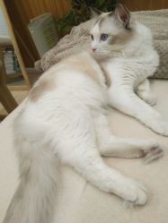 -匠之美甲美睫