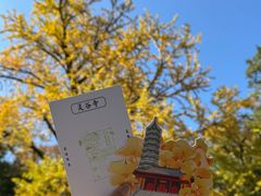 -灵谷景区