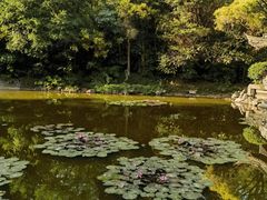 -深圳国际园林花卉博览园