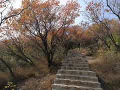 -博山九龙峪风景区